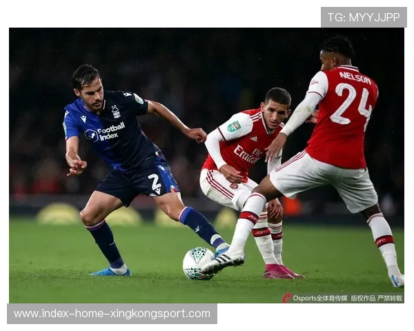 布伦特福德与纽卡斯尔联对决战术分析及球员表现动态解析 布伦特福德与纽卡斯尔联对决战术分析及球员表现动态解析