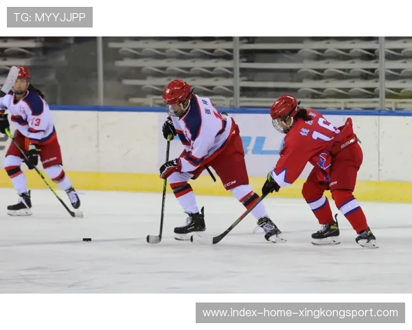 冰球青训营设立技能晋级体系激励小球员成长 冰球青训营设立技能晋级体系激励小球员成长