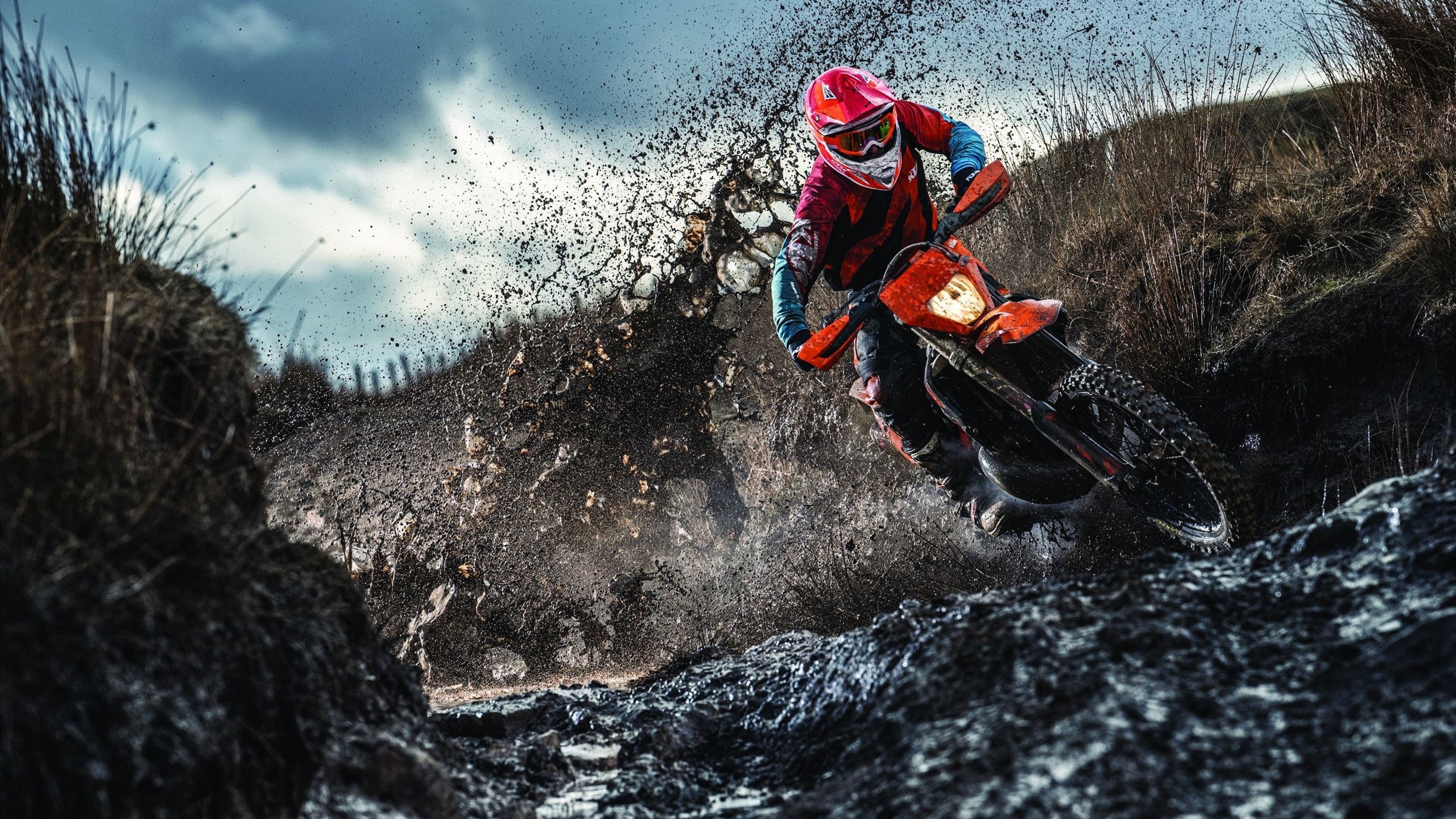 2026年世界体操锦标赛女子个人全能冠军易主 新人一战封神