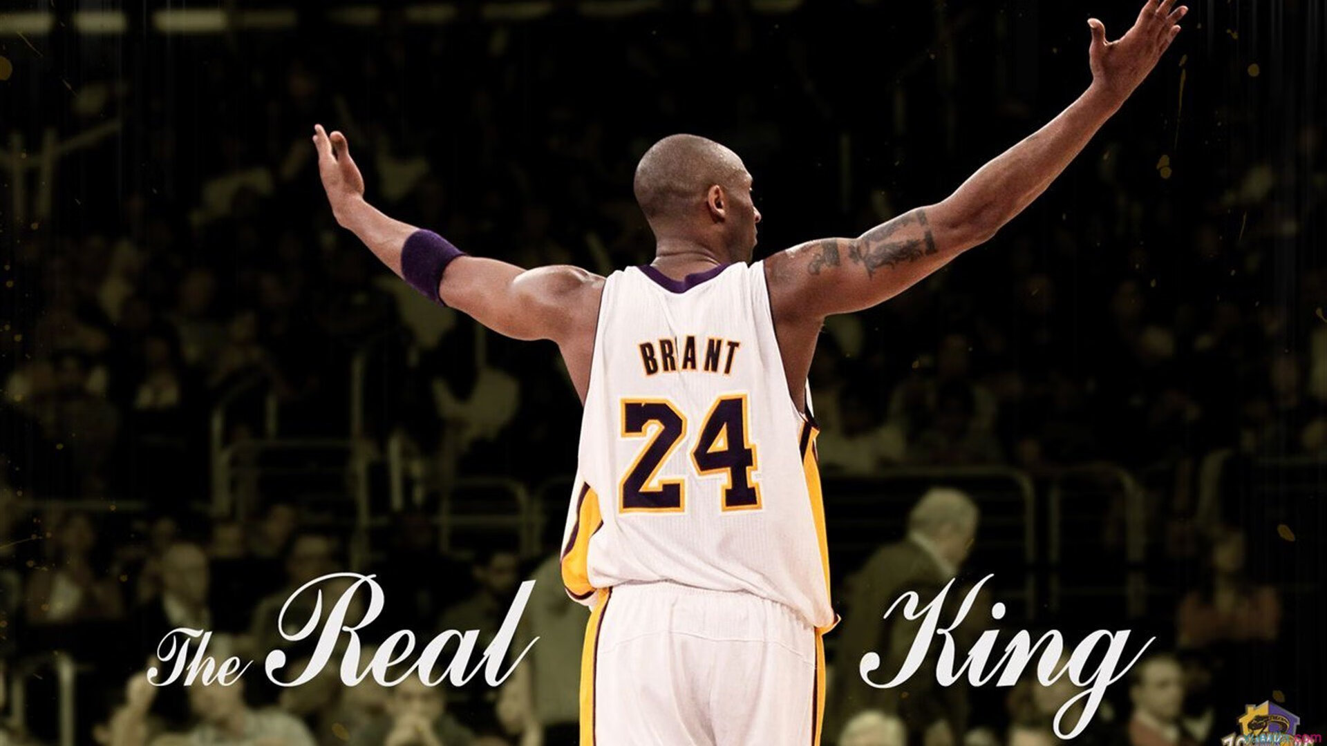 NBA季后赛形势逐渐明朗